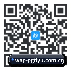 系统版 Android 二维码